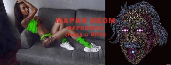 гидропоника Алзамай