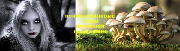 гидропоника Алзамай