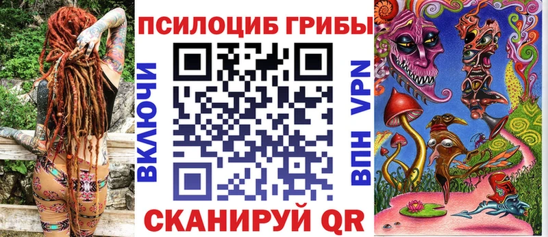 гидра зеркало  как найти   Енисейск  Псилоцибиновые грибы мицелий 